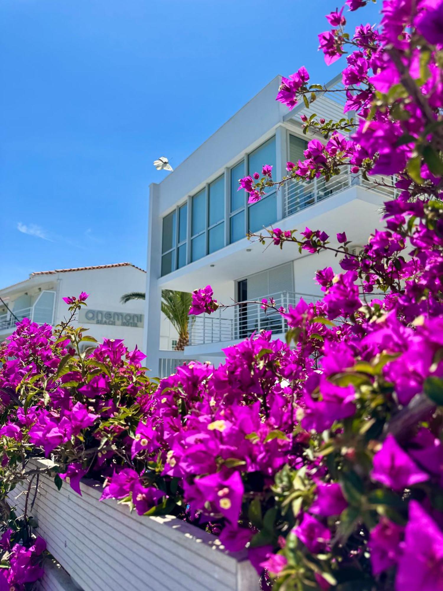 Anemoni Skiathos-stad