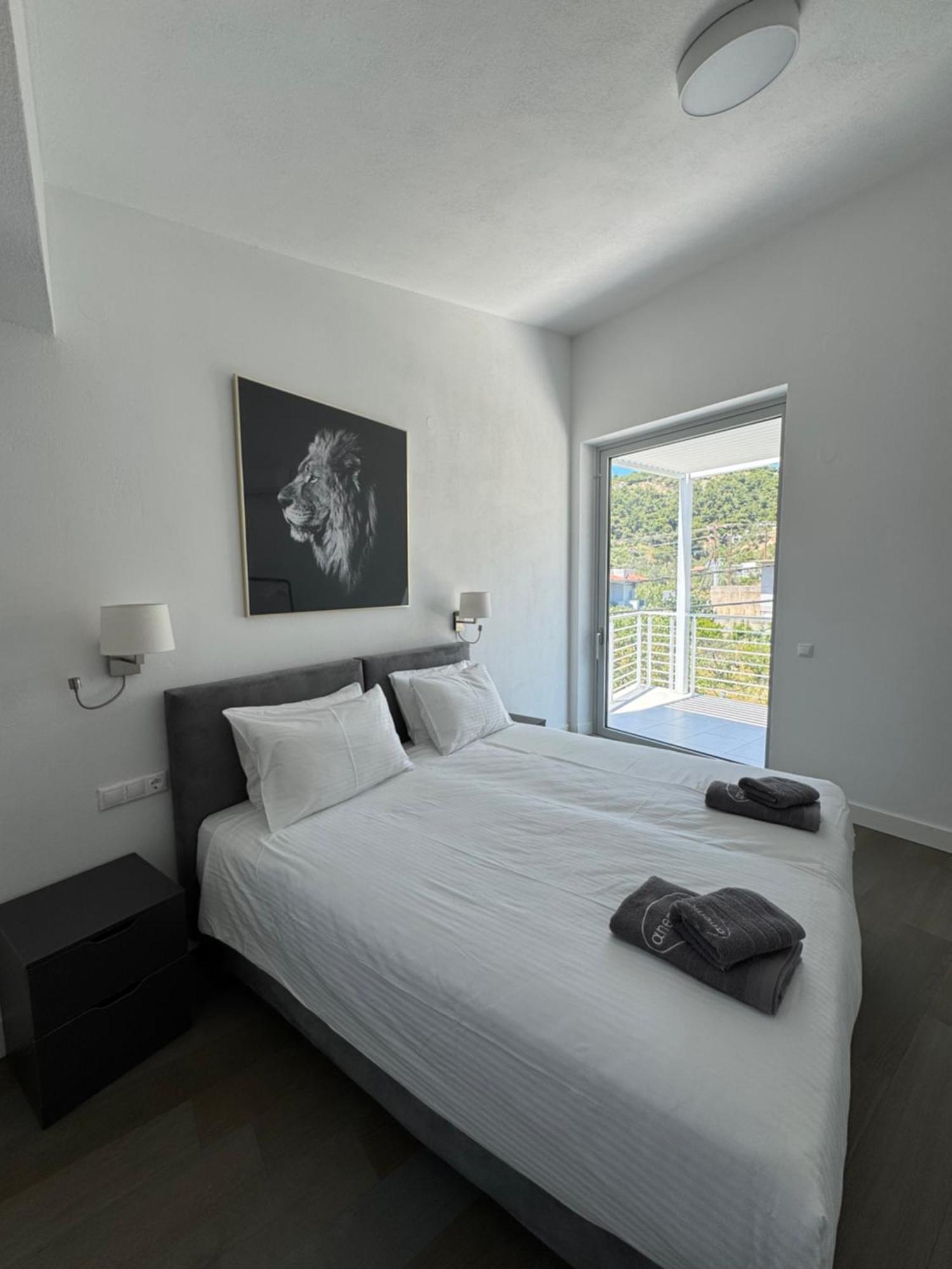 Hotel Anemoni 4*